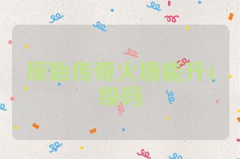原始传奇火墙能升4级吗