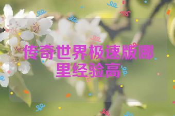 传奇世界极速版哪里经验高