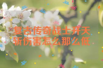 复古传奇战士开天斩伤害怎么那么低
