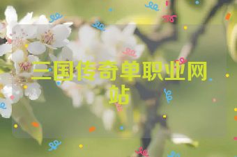 三国传奇单职业网站