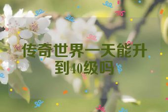 传奇世界一天能升到40级吗