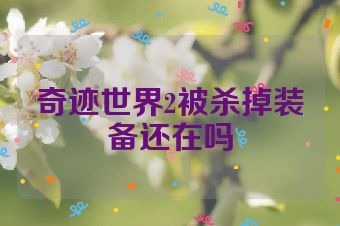 奇迹世界2被杀掉装备还在吗