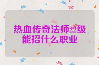 热血传奇法师22级能招什么职业