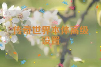 传奇世界本体高级设置