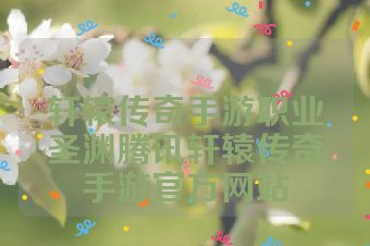 轩辕传奇手游职业圣渊腾讯轩辕传奇手游官方网站