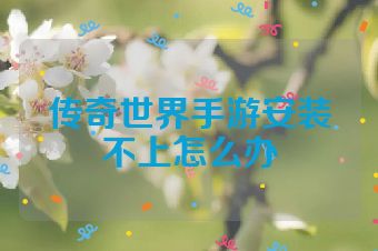 传奇世界手游安装不上怎么办