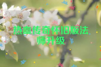 热血传奇怀旧版法师升级