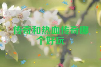 传奇和热血传奇哪个好玩