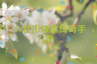 176合击版本传奇手游