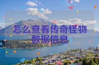 怎么查看传奇怪物数据信息