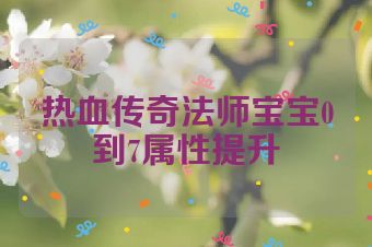 热血传奇法师宝宝0到7属性提升