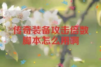 传奇装备攻击倍数脚本怎么用啊