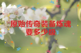 原始传奇装备炼魂要多少级
