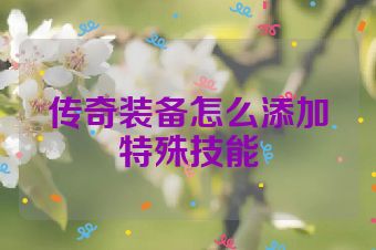 传奇装备怎么添加特殊技能