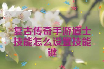 复古传奇手游道士技能怎么设置技能键