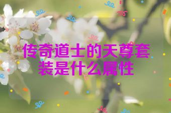 传奇道士的天尊套装是什么属性