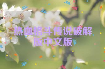 热血格斗传说破解版中文版