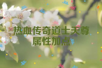 热血传奇道士天尊属性加点