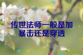 传世法师一般是加暴击还是穿透