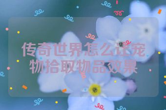 传奇世界怎么让宠物拾取物品效果