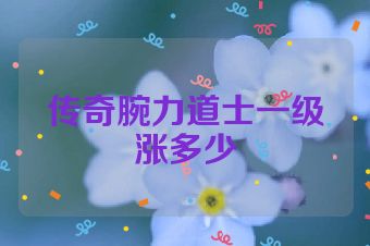 传奇腕力道士一级涨多少