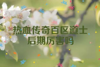 热血传奇百区道士后期厉害吗