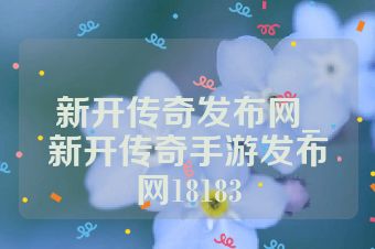 新开传奇发布网_新开传奇手游发布网18183