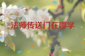 法师传送门在哪学