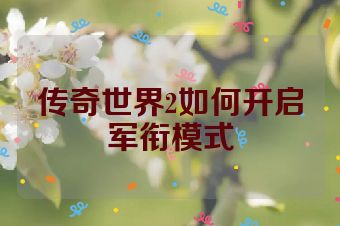 传奇世界2如何开启军衔模式