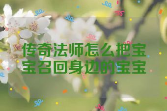 传奇法师怎么把宝宝召回身边的宝宝