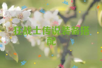 狂战士传说装备搭配