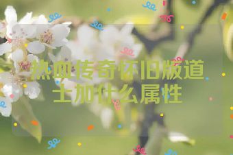 热血传奇怀旧版道士加什么属性