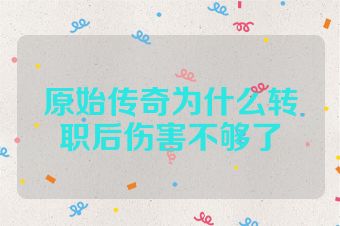 原始传奇为什么转职后伤害不够了
