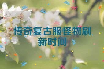 传奇复古服怪物刷新时间