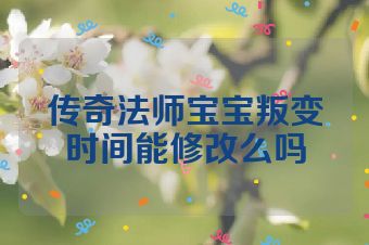 传奇法师宝宝叛变时间能修改么吗