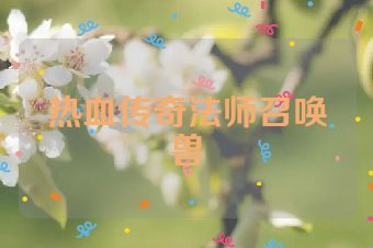 热血传奇法师召唤兽