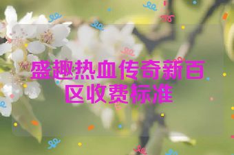 盛趣热血传奇新百区收费标准