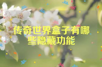 传奇世界盒子有哪些隐藏功能