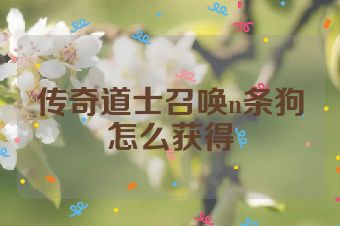 传奇道士召唤n条狗怎么获得