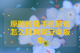 原始传奇手机游戏怎么样啊呢安卓版本