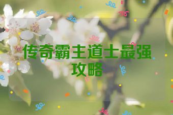 传奇霸主道士最强攻略