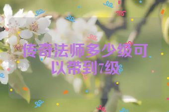 传奇法师多少级可以带到7级