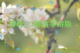 传奇1.75复古手游版