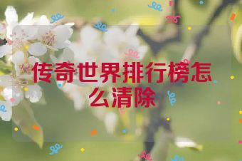 传奇世界排行榜怎么清除
