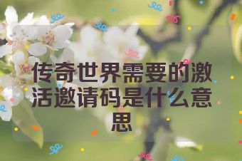 传奇世界需要的激活邀请码是什么意思