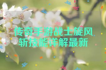 传奇手游战士旋风斩技能详解最新