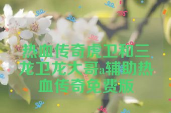 热血传奇虎卫和三龙卫龙大哥a辅助热血传奇免费版