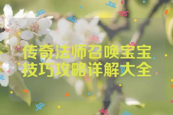 传奇法师召唤宝宝技巧攻略详解大全
