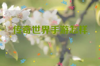 传奇世界手游怎样