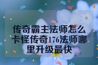 传奇霸主法师怎么卡怪传奇176法师哪里升级最快